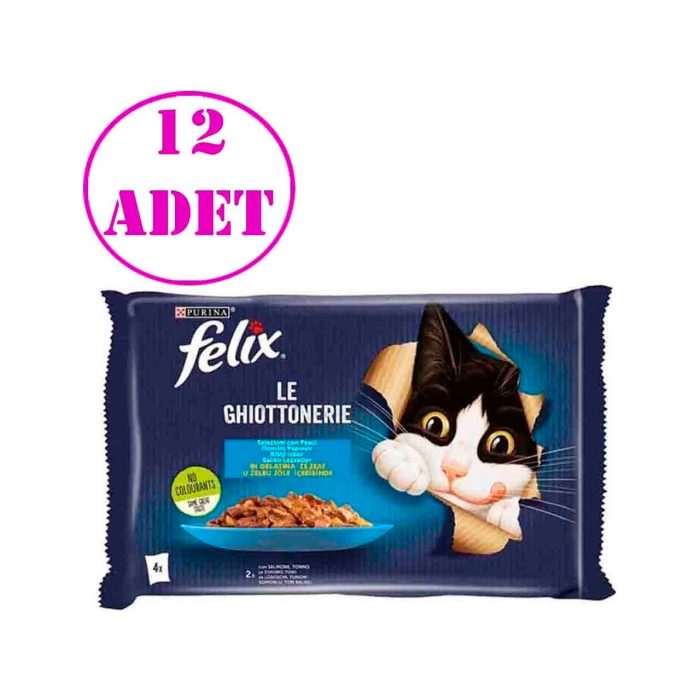 Felix Multipack Somonlu ve Ton Balıklı Yetişkin Kedi Yaş Maması 4X85 gr 12 Adet