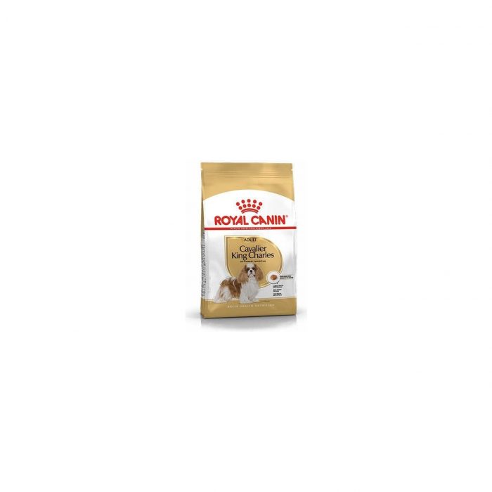 Royal Canin Cavalier King Charles Yetişkin Köpek Maması 3 Kg