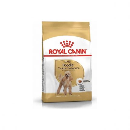 Royal Canin Poodle Adult Yetişkin Köpek Maması 3 Kg