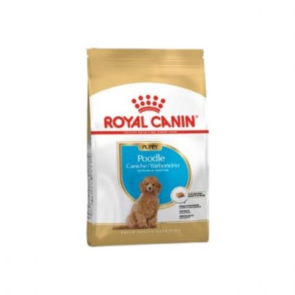 Royal Canin Poodle Puppy Köpek Maması 3 Kg